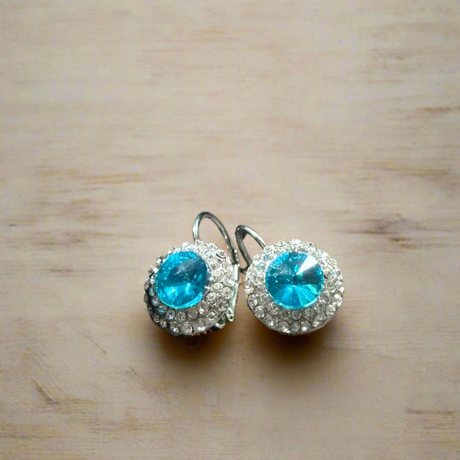 Noor-e-Gul Earrings
